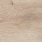 Preview: Trendy 2.0 Eiche Hell Natur 004